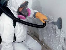 Best Mold Remediation for Healthcare Facilities  in Kingsland, GA